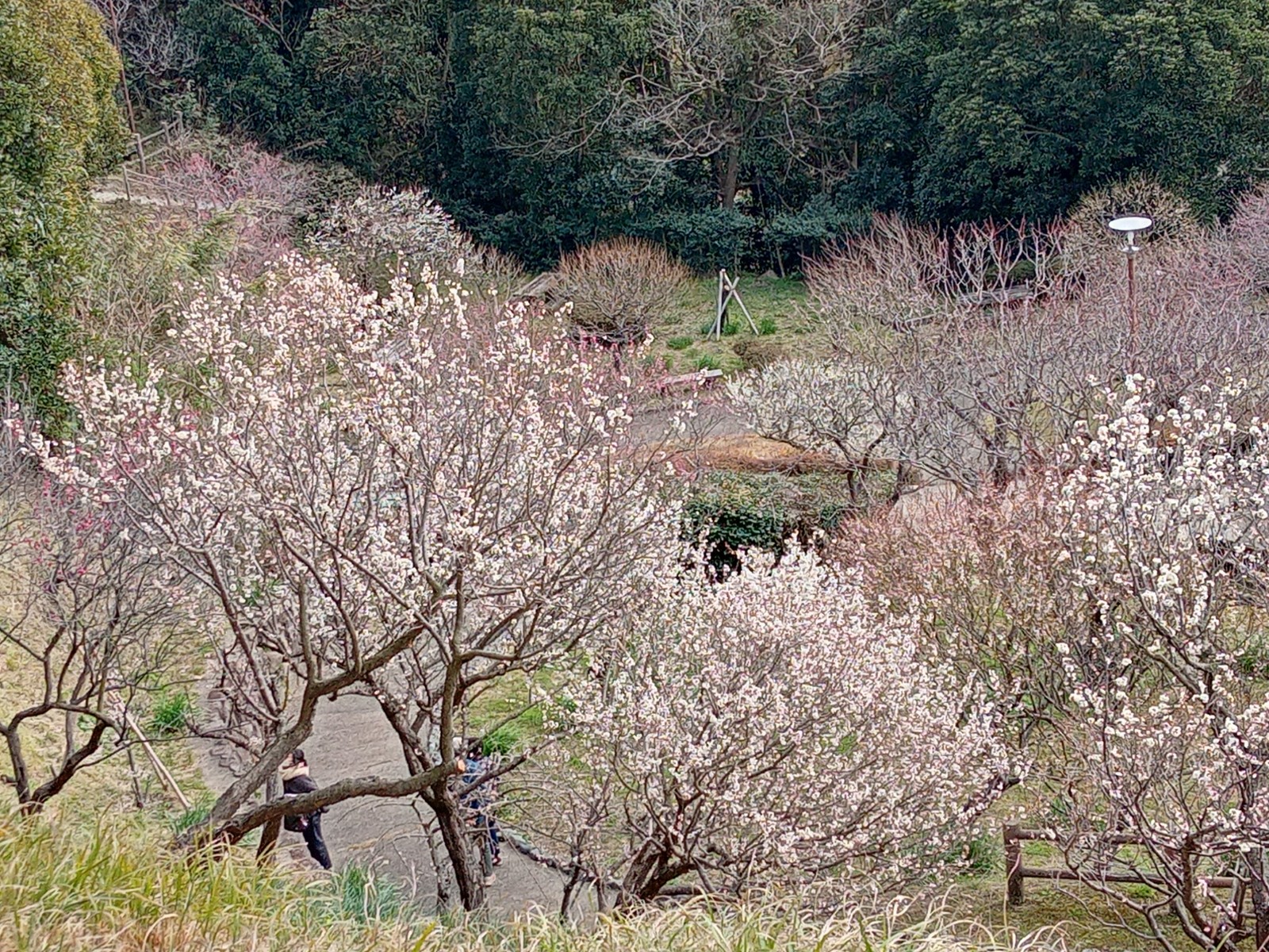 館山城